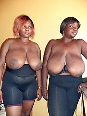 big black tits and booty