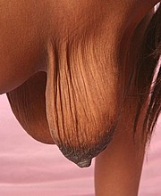 205.jpg