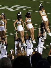 Sport Fetish Porn sample picture
