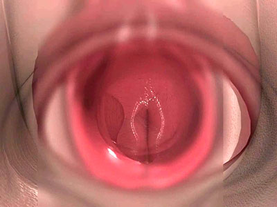 3D hentai video