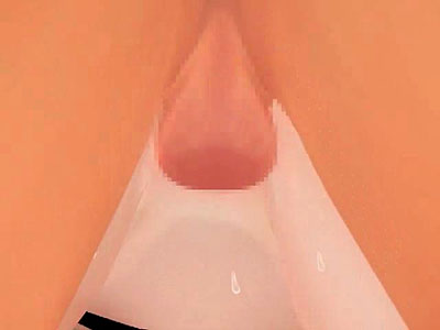 Hentai xxx 3D