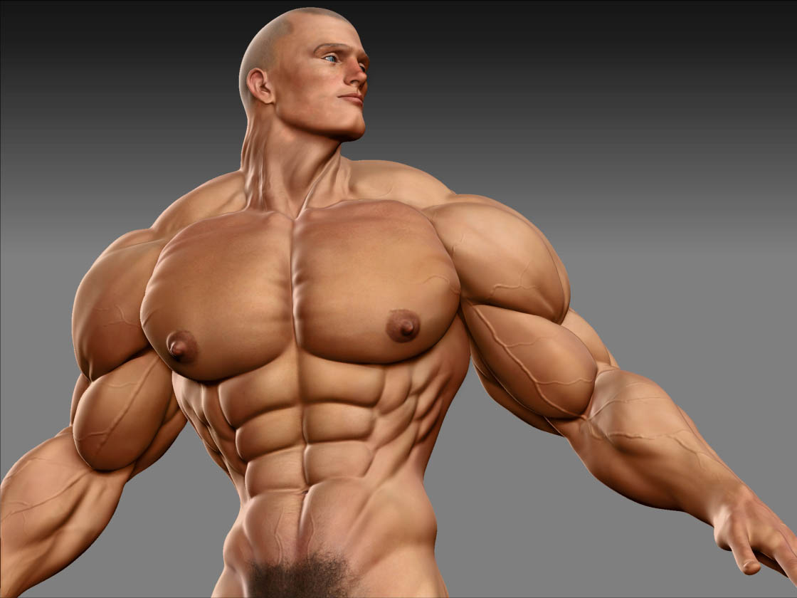 3d Muscle Gays