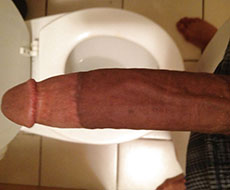 The worlds biggest cock