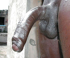 Hard throbbing cock