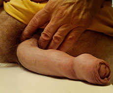 King cock
