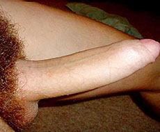 Cock picture