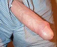 Kings of cock