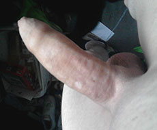 Free amature cock