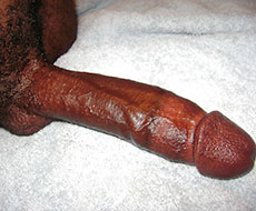 The worlds biggest cock