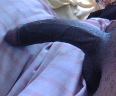 World biggest cock