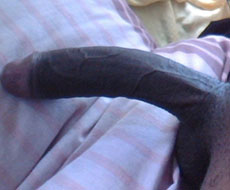 Show your cock