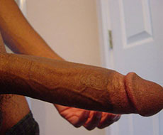 Free cock pic
