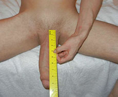 Perfect cock