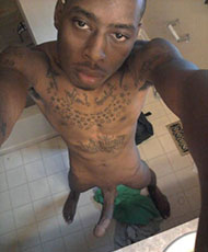 King cock