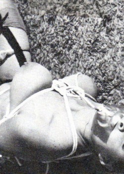 Big Tits In Bondage 