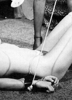 Big Tits In Bondage 