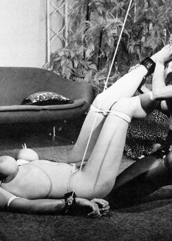 Erotic BDSM Bondage