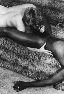 retro gay sex