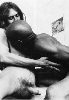 retro gay sex