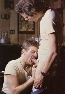 retro gay sex