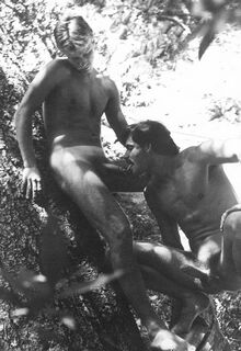vintahe gay photo