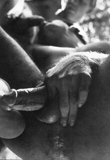 classic gay porn photo