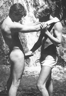 retro gay sex