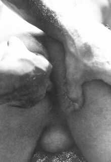 retro gay sex