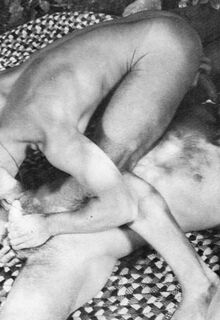 vintahe gay photo