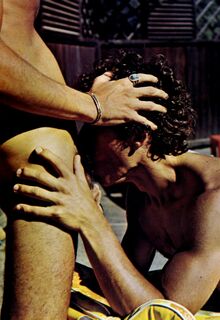 retro gay sex
