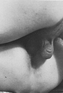 classic gay porn photo