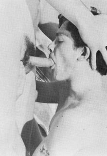 retro gay sex