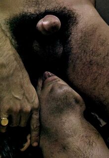 classic gay porn photo
