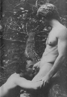 classic gay porn photo