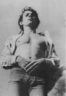 retro gay sex
