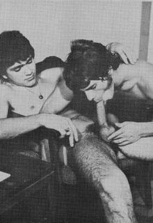 vintahe gay photo