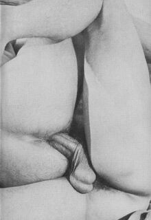 retro gay sex