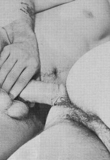 classic gay porn photo
