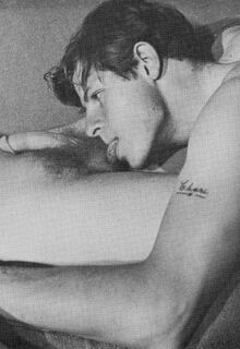 classic gay porn photo