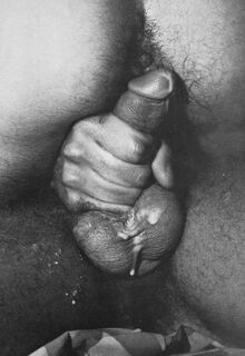 retro gay sex