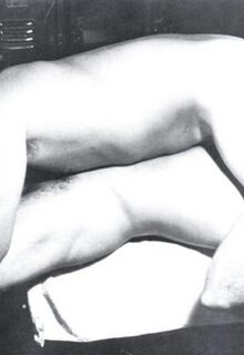 classic gay porn photo