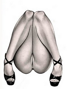 Online Erotic Pictures