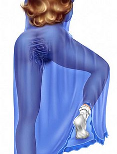 Online Erotic Cartoon Images