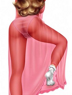 Online Erotic Cartoon Images