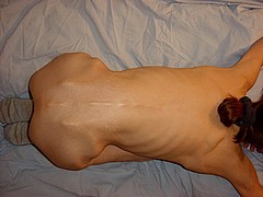 thinspo95.jpg