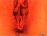 marina_close_up-0769.jpg
