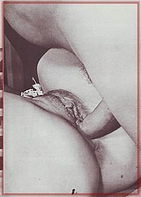 Retro Pussy