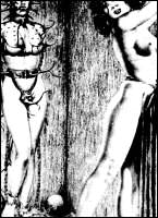Rougs sex and cruel  sex toons