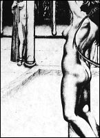 Rougs sex and cruel  sex toons