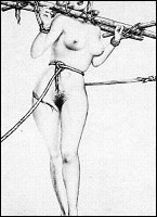 Rougs sex and cruel  sex toons